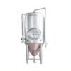 100 gallon Beer fermentation tank