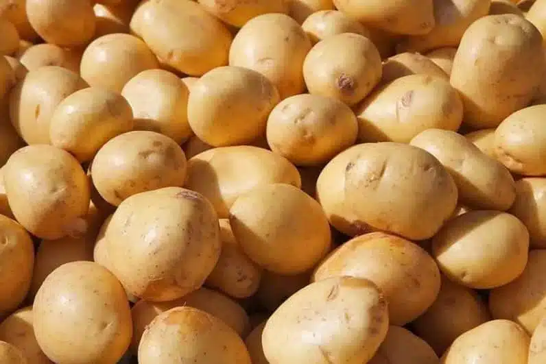 Potatoes