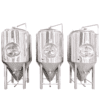 20 bbl beer fermenter