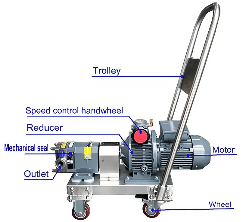 wine transfer pump