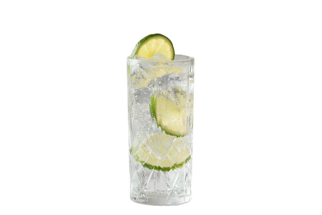 Gin and Tonic Recipe