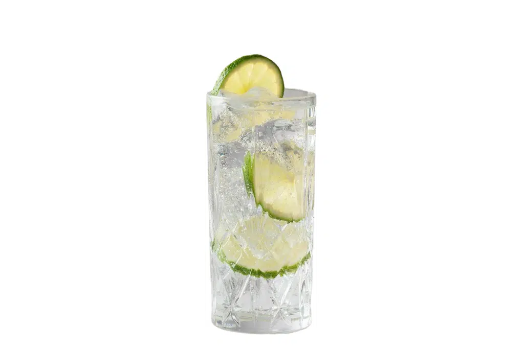 Gin and Tonic Recipe