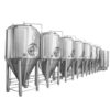 Stainless Steel Conical Fermenter